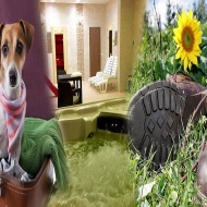 Nyaralás eldugott helyen Mátraszentimrén a Selfness Hotel Vadvirágban Nyaralás eldugott helyen Mátraszentimrén a Selfness Hotel Vadvirágban