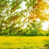 Nyaralás kastélyszállóban akciós áron Szelestén, a mesebeli arborétumnál épült kastélyszállóban Nyaralás kastélyszállóban akciós áron Szelestén, a mesebeli arborétumnál épült kastélyszállóban