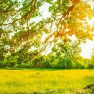 Nyaralás kastélyszállóban akciós áron Szelestén, a mesebeli arborétumnál épült kastélyszállóban Nyaralás kastélyszállóban akciós áron Szelestén, a mesebeli arborétumnál épült kastélyszállóban