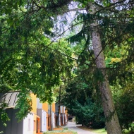 Ifjúsági tábor, erdei iskola a Bakonyban, közel a Sobri Jóska Kalandparkhoz Ifjúsági tábor, erdei iskola a Bakonyban, közel a Sobri Jóska Kalandparkhoz