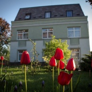 Valentin nap Budapesten, romantikus pihenés fürdőbelépővel a Jagello Hotelben Valentin nap Budapesten, romantikus pihenés fürdőbelépővel a Jagello Hotelben