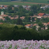 Nézsa Falunap 2018 Nézsa Falunap 2018