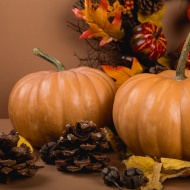 Halloween Kaposvár 2021 Halloween Kaposvár 2021