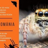 Halloween program Budapesten: élő pókok, baglyok, denevérek a Természettudományi Múzeumban Halloween program Budapesten: élő pókok, baglyok, denevérek a Természettudományi Múzeumban