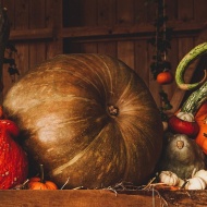 Halloween wellness hétvége Móron ünnepi programokkal a Hétkúti Hotelben és az Öreg Prés Fogadóban Halloween wellness hétvége Móron ünnepi programokkal a Hétkúti Hotelben és az Öreg Prés Fogadóban