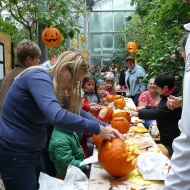 Halloween Szegeden, tök jó nap a Füvészkertben Halloween Szegeden, tök jó nap a Füvészkertben
