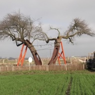 Délegyházi Körtefesztivál 2019 Délegyházi Körtefesztivál 2019