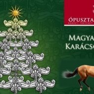 Magyarok Karácsonya Ópusztaszer 2017 Magyarok Karácsonya Ópusztaszer 2017