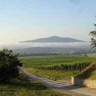 Tokaj Majális 2019 Szerelmi Retro Majális Tokaj Majális 2019 Szerelmi Retro Majális