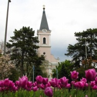 Mórahalmi Majális 2018 Mórahalmi Majális 2018