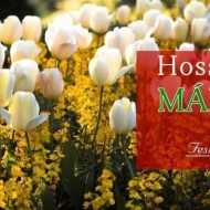Hosszú hétvége március 15-én kastélyszállóban korlátlan fürdőhasználattal Szelestén! Hosszú hétvége március 15-én kastélyszállóban korlátlan fürdőhasználattal Szelestén!