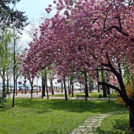 Füredi Tavaszi Fesztivál 2020 Balatonfüred Füredi Tavaszi Fesztivál 2020 Balatonfüred