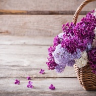 Pünkösdi wellness hétvége korlátlan wellness használattal és 50% masszázskuponnal a Vital Hotelben Pünkösdi wellness hétvége korlátlan wellness használattal és 50% masszázskuponnal a Vital Hotelben