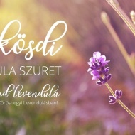 Balatonföldvár Pünkösd 2019 Balatonföldvár Pünkösd 2019