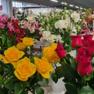 Anyák napi virágvásár 2024 Szombathely. Gyere  a Vásárcsarnokba és válogass a friss virágok közül!