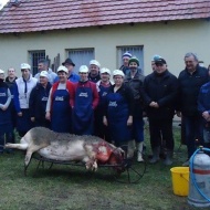 Farsangi Mulatság 2020 Gencsapát Farsangi Mulatság 2020 Gencsapát