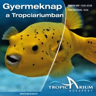 Gyermeknap Tropicarium 2024 Budapest