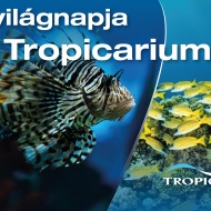 Víz világnapja Tropicarium 2025 Budapest