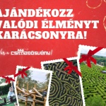 Csillagösvény belépő karácsonyra ajándékba Csillagösvény belépő karácsonyra ajándékba