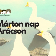 Márton-nap Balatonfüred 2023. Arácsi Márton-nap és újbor kóstoló Márton-nap Balatonfüred 2023. Arácsi Márton-nap és újbor kóstoló