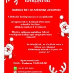 Mikulás Arboring Gokart pálya Debrecen 2022 Mikulás Arboring Gokart pálya Debrecen 2022