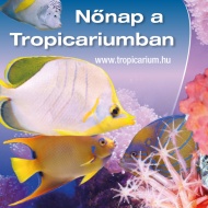 Nőnap Tropicarium 2024. Kedvezményes látogatás hölgyeknek a budapesti cápás állatkertbe