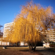 Wellness akciók október 23 -i ünnepi hosszú hétvégén a Club Tihanyban! Wellness akciók október 23 -i ünnepi hosszú hétvégén a Club Tihanyban!