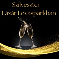 Szilveszteri buli Debrecenben, újévköszöntő retro party az Erdőspuszta Club Hotelben Szilveszteri buli Debrecenben, újévköszöntő retro party az Erdőspuszta Club Hotelben