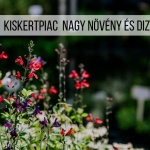 Kiskertpiac programok 2022 Budapest Kiskertpiac programok 2022 Budapest
