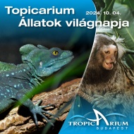 Állatok Világnapja Tropicarium 2023 Állatok Világnapja Tropicarium 2023