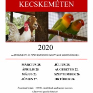 Kisállatvásár Kecskemét 2020 Kisállatvásár Kecskemét 2020