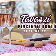 Tavaszi Pincenyitogató 2025. Hajósi Pincefalu