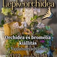 Orchidea és Bromélia Kiállítás 2023 Budapest