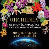Orchidea és Bromélia Kiállítás 2023 Budapest Orchidea és Bromélia Kiállítás 2023 Budapest