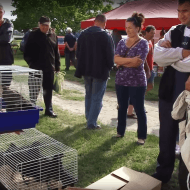 Zákányszéki Vásár 2019 Zákányszéki Vásár 2019