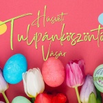 Húsvéti Tulipánvásár 2023 Máriakálnok Húsvéti Tulipánvásár 2023 Máriakálnok