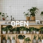 Növényvásár 2020. Plante egynapos növényvásár Növényvásár 2020. Plante egynapos növényvásár