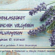 Levendula Szüret Bálványos 2018 Levendula Szüret Bálványos 2018
