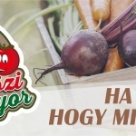 Piac Máriakálnok 2020. Szigetközi Szatyor Vásár Piac Máriakálnok 2020. Szigetközi Szatyor Vásár