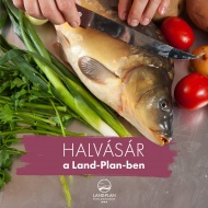 Halvásár Győr 2023 Halvásár Győr 2023