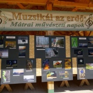 Megjelentek a „Muzsikál az erdő” 2018-as pályázatai Megjelentek a „Muzsikál az erdő” 2018-as pályázatai