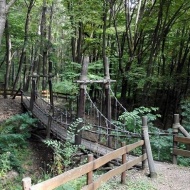 Diósjenői Erdei Szabadidőpark