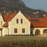 Fischer Borház Fischer Borház