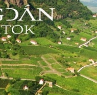 Bogdán Birtok Pincészete Bogdán Birtok Pincészete