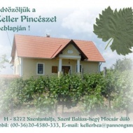 Keller Pincészet Keller Pincészet