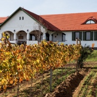 Kányaváry Borbirtok Zalaszabar Kányaváry Borbirtok Zalaszabar