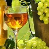 Forum Vinorum Borbemutató hely és Vinotéka Forum Vinorum Borbemutató hely és Vinotéka