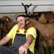Tündérmajor Kecskefarm Gyűrűfű Tündérmajor Kecskefarm Gyűrűfű