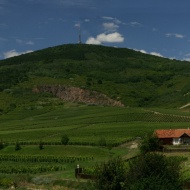 Tokaj-Hétszőlő Szőlőbirtok