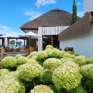 Plage18 Beach & Restaurant Tihany Plage18 Beach & Restaurant Tihany